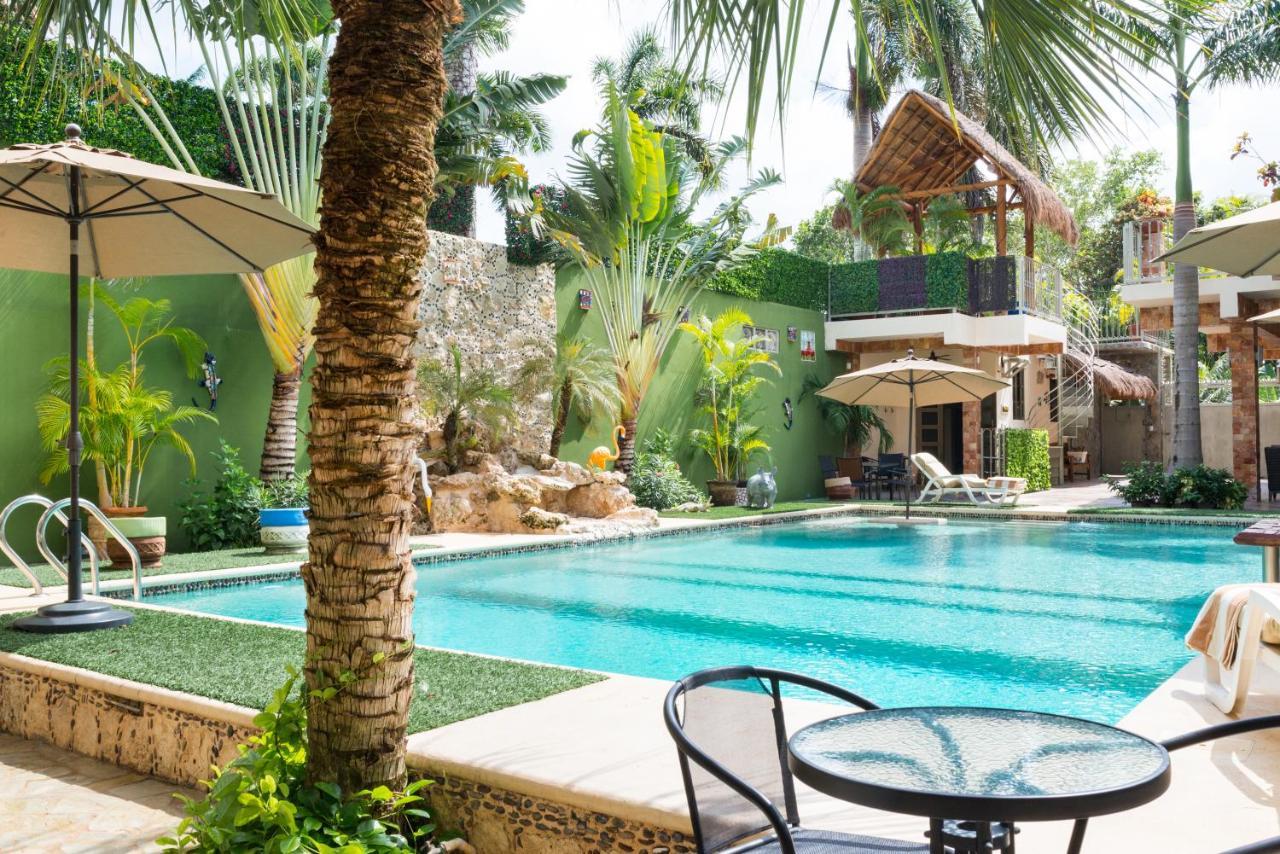 Alamos Inn Hotel Con Jacuzzi Y Piscina 칸쿤 외부 사진