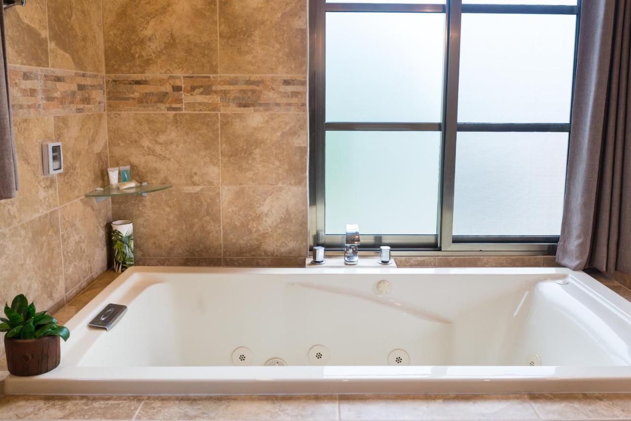 Alamos Inn Hotel Con Jacuzzi Y Piscina 칸쿤 외부 사진